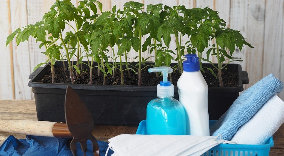 Здоровая рассада начинается с земли: 3 способа эффективно обеззаразить почву