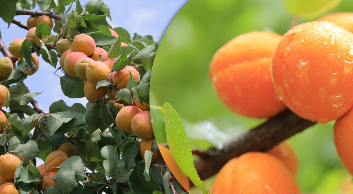 ������� �� ����� ����� � ��� ��������� �������� �������� ��� �������� ������