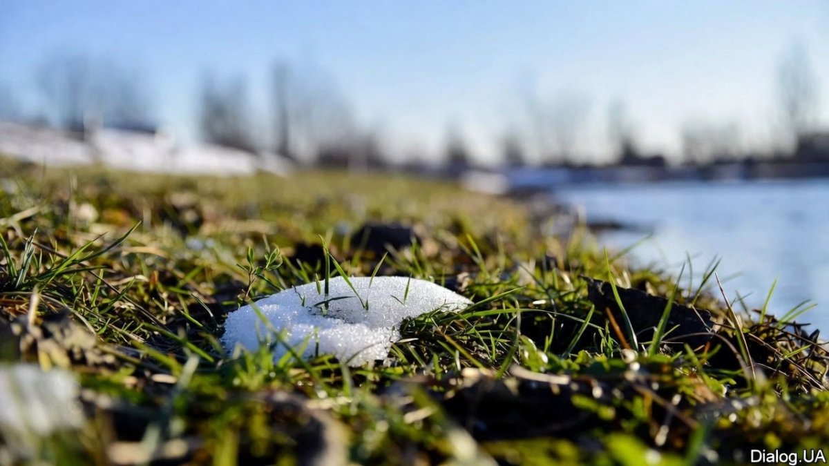 ����� �������� ���������: ��������� ������������� ����������� � �������