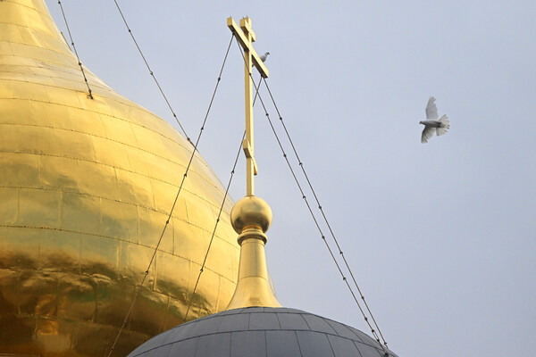 �� �������� � �� ����������� ���������: 24 ����� � ���� ������� ����������� ����� �������������