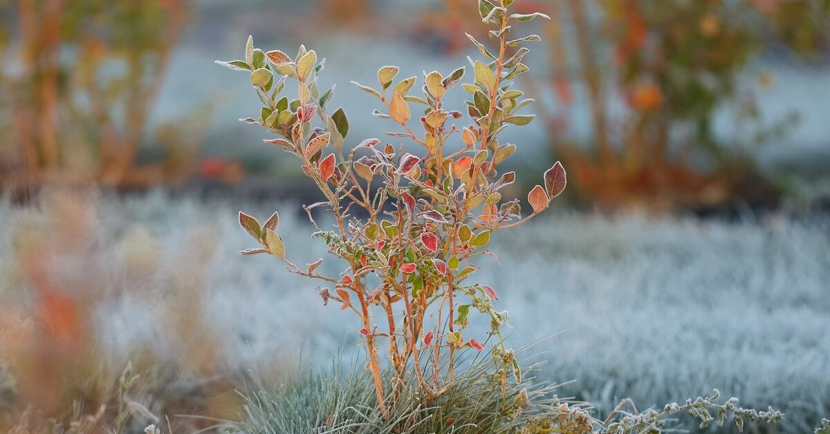 ��������� ������� ���� ���������: ��� ������ �� ��������������