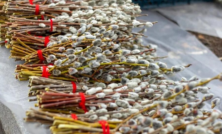 ������ �� ������� ����������� ����� ������: ��������, ��������� � ����� ���������