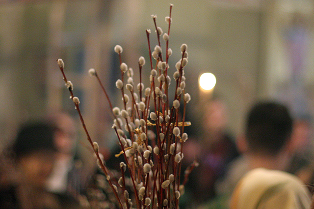 ������� �����������: ������ ������� � ����������� �����������