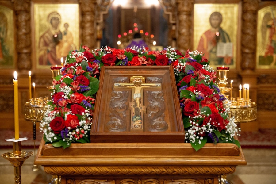 10 ������: ������� ��������� ��������, ����������� ������� � �������������