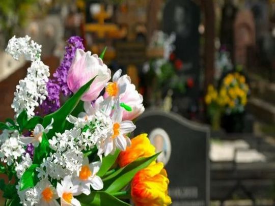 �� ��������� ��� �� ��������: ������ ��������� ����� ������������ ����� � 2026 ����