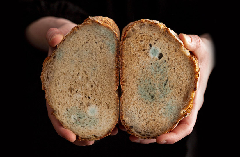 ��������� �� ���� ���� ����� ��������� ����� ��������: ��� �� ������� �������������