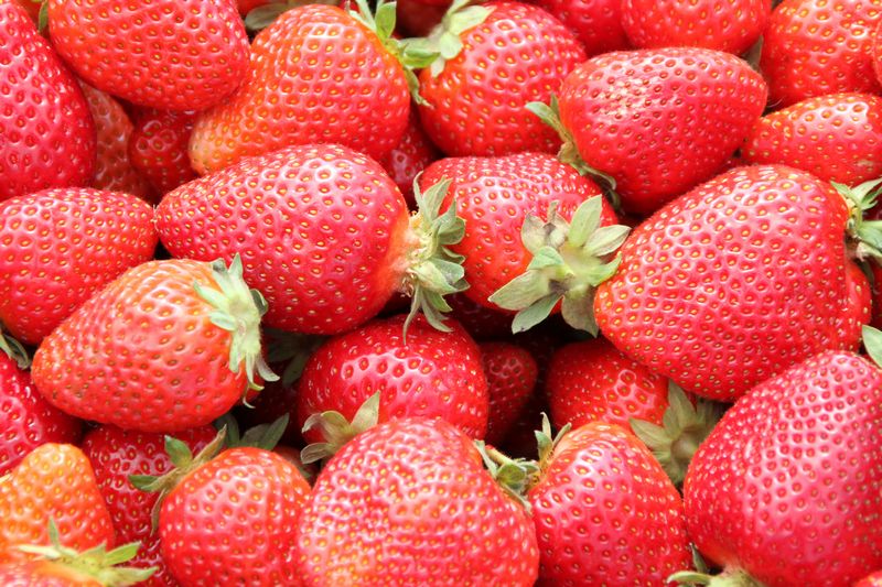 ��� ��������� ������� � ��������� ��������: ������ �� ����� ������