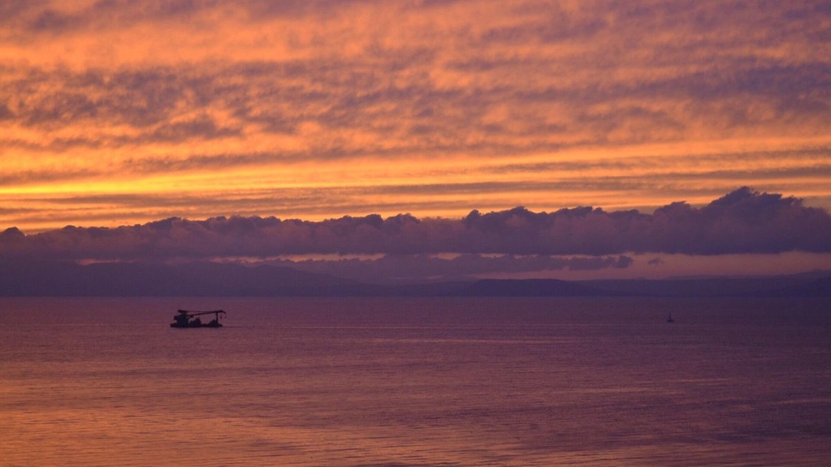 ��������� ���� � �������, 11 ������