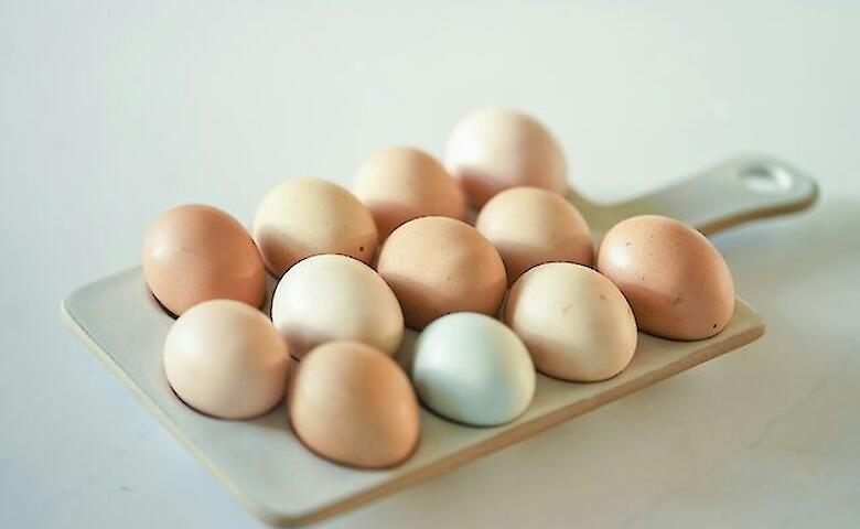 ���� �� ���� ����� ����� ���������: ������� ����� ������� � ��� ����� ������ �������