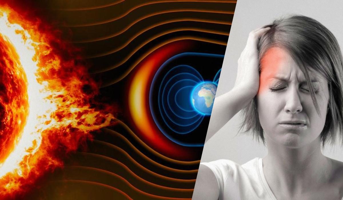 ������� ��������� ���� �� �����������, 20 ������