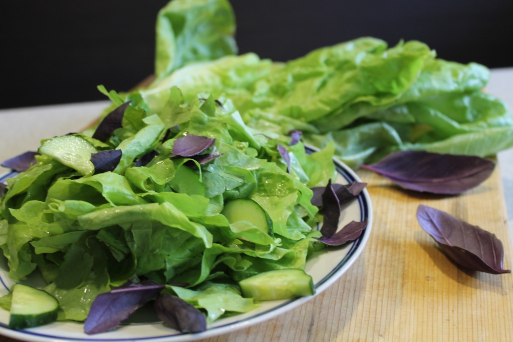 ����� ����� ����� ���� ������: ����������� ������� ������� ����