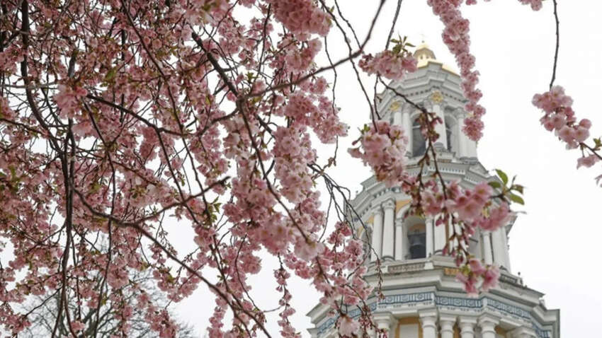 20 ������: ��������� ������ � �� �������� � ��� ����� � ������ ������