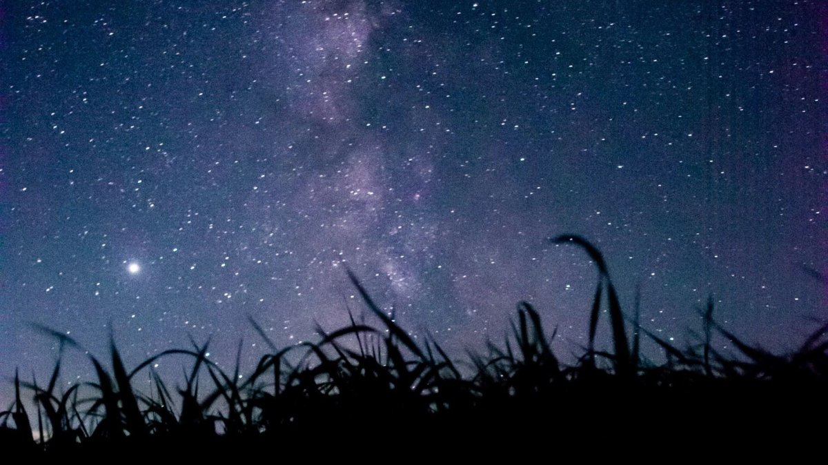 ������� ��������� ���� �� 21 ������