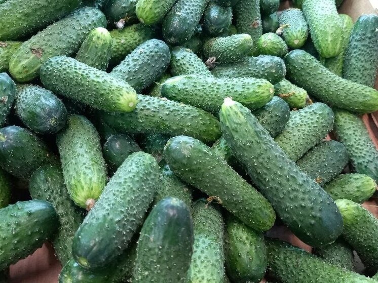 ������ ������ ��������, � ������� � ���