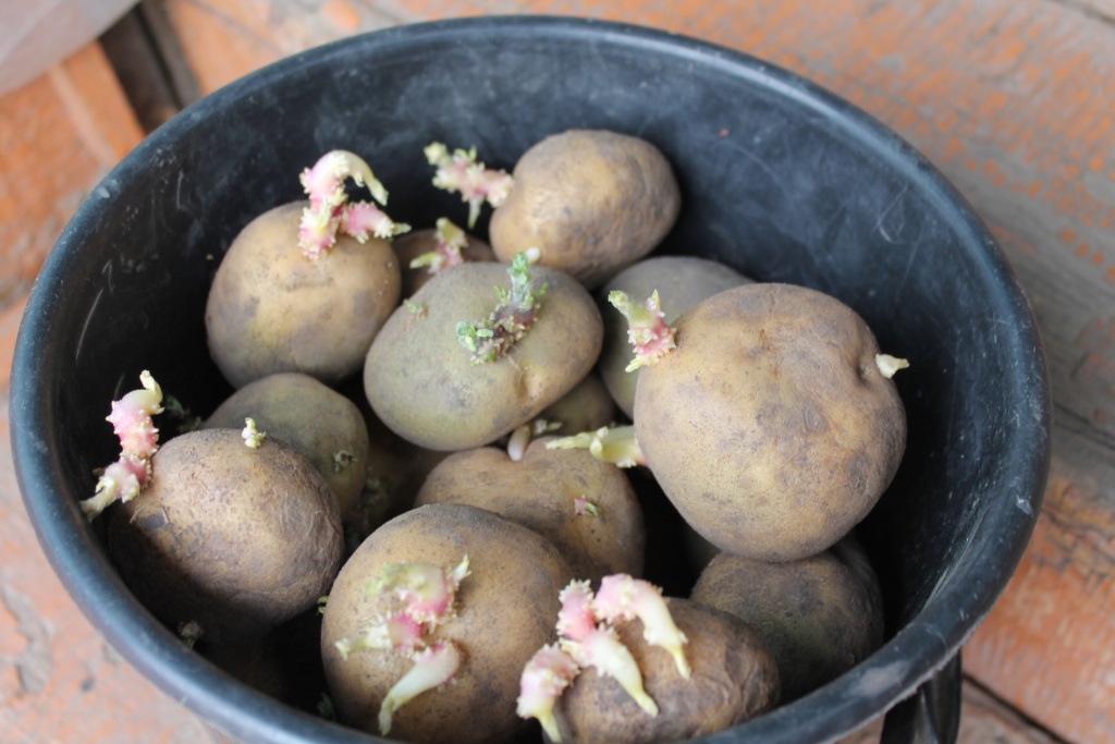 ������ �������� �� ����� ������� � ������������: �����, ������� �� ������ ����