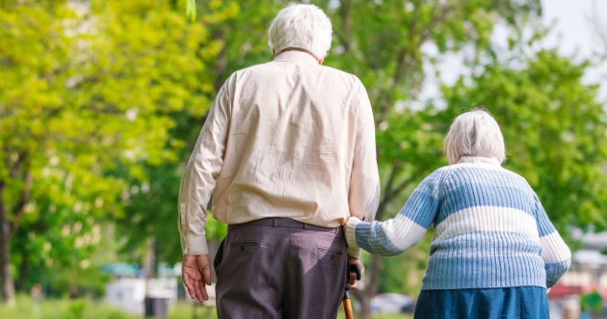 ������ ����������: ������ ����� ������������