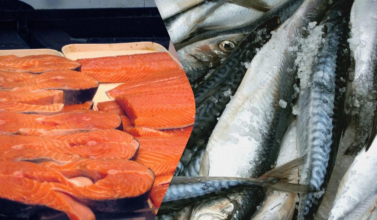 ������ ������ ��������: ����� ���� ����� ������� ��� ��������?