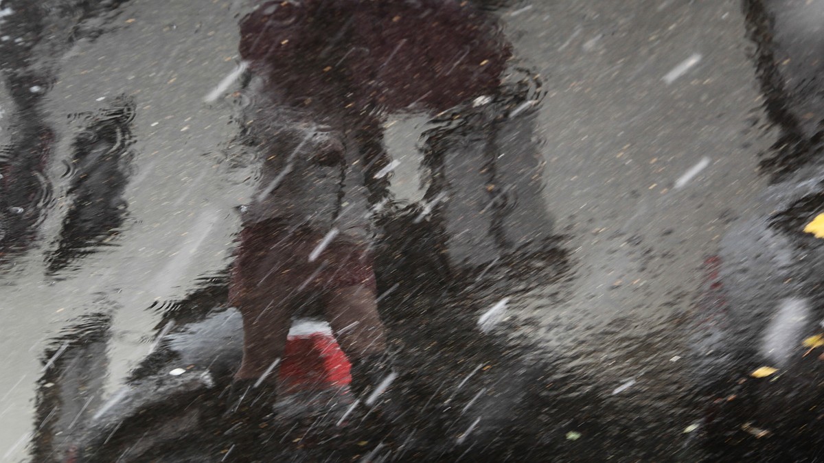 ����� �� �����: ��� ����� �� ������ 24 ������ � ������� ����������