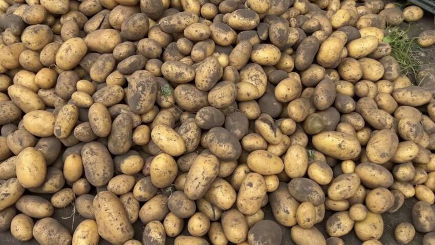 ����� ��������� �������� � 2026 ����: 5 ������ ������ ��� ��������� ������