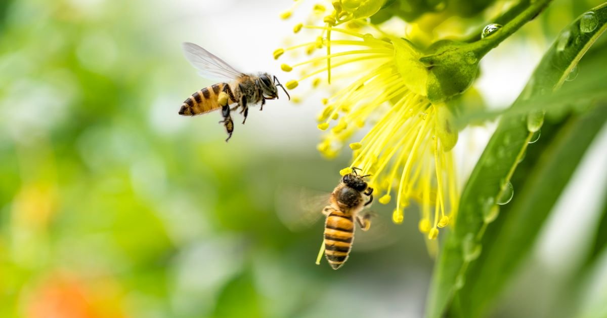 ��� ���� � ��� ������: ��� �������� �������� ��������� ��� �������� � ����