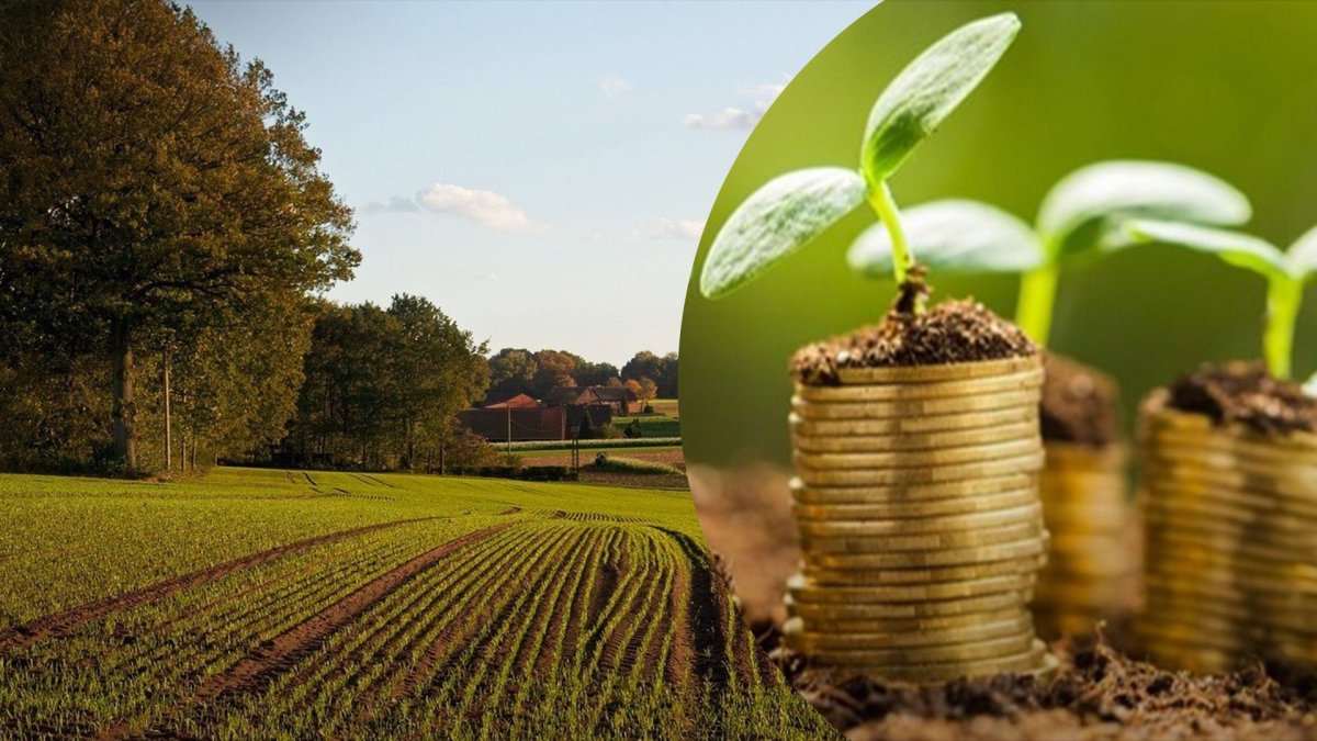 ����� �� ����� � �������: ���������, ������� �� �� ��� ����������