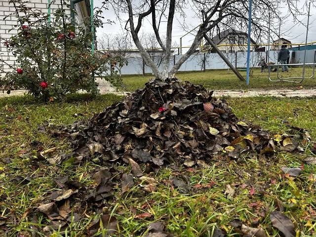 Опавшие листья станут удобрением за несколько месяцев: что добавить в компост
